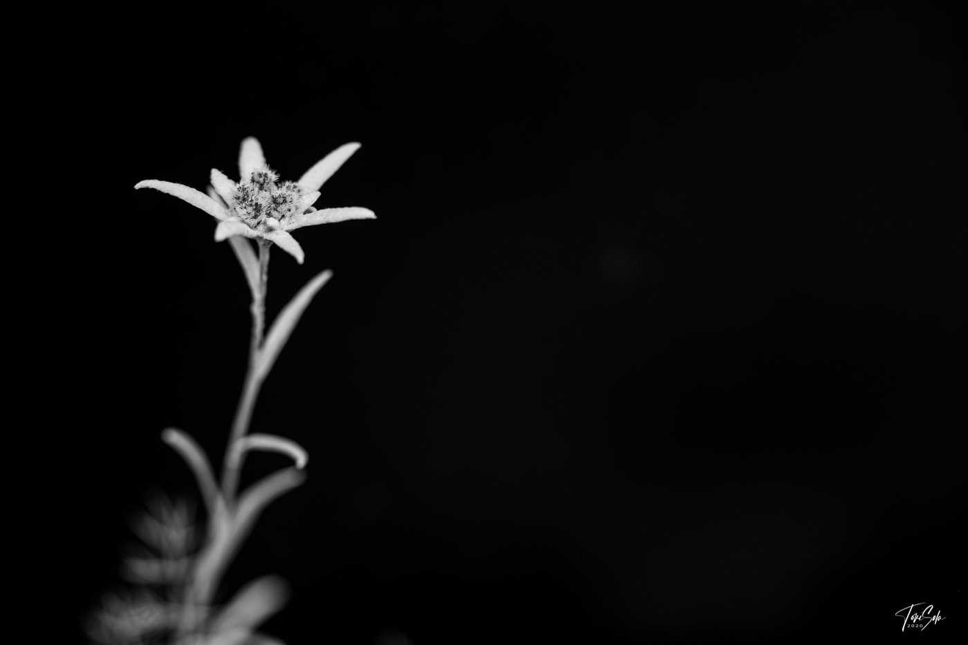 DSC02375