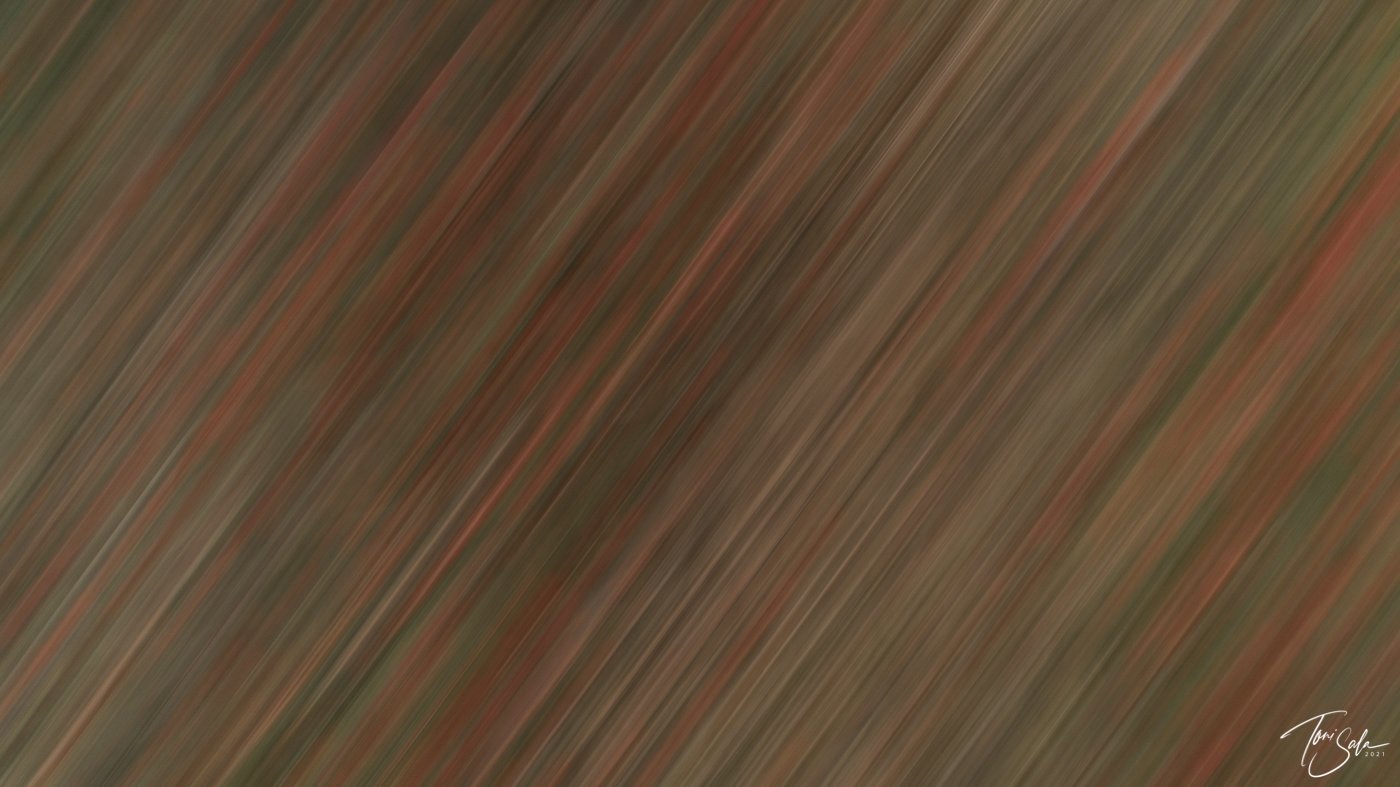 DSC02325